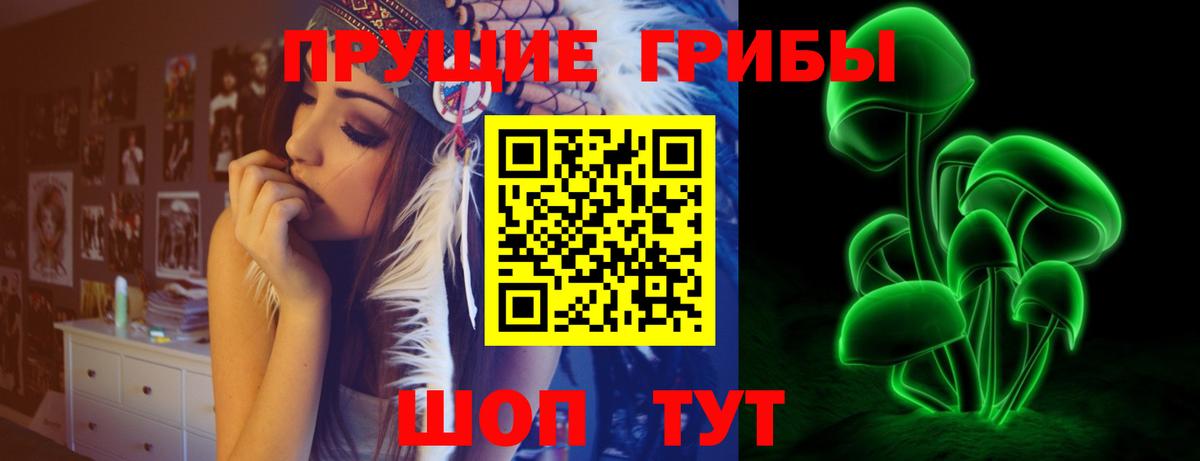 Псилоцибиновые грибы GOLDEN TEACHER Нововоронеж